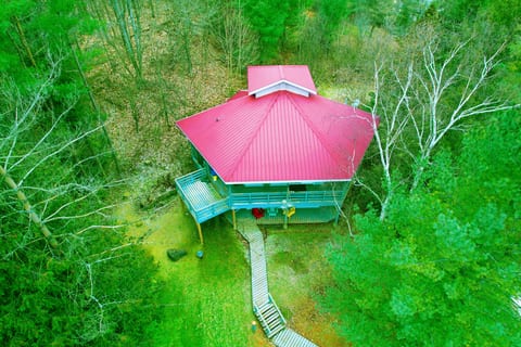 Spacious 3+2 BR Nature Cottage w/ Fire Pit & Pool Table