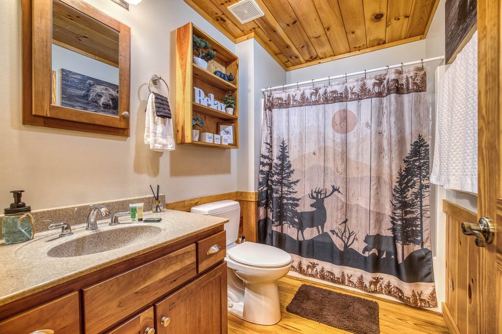 Step into the spacious guest bathroom featuring a tub and shower, medicine cabinets, and plenty of storage. Enjoy the convenience of starter soaps and shampoos, making it the perfect space for comfort and relaxation during your stay! Step into the spacious guest bathroom featuring a tub and shower, medicine cabinets, and plenty of storage. Enjoy the convenience of starter soaps and shampoos, making it the perfect space for comfort and relaxation during your stay! - Spacious Cabin, Hot Tub, Theater, Dog Run, FirePit - Ellijay