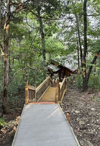 Fairy lit walkway to cabin