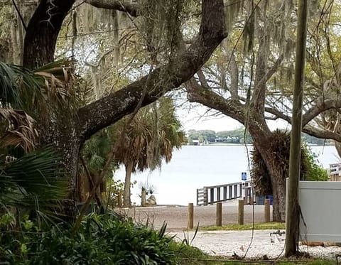 View from front yard