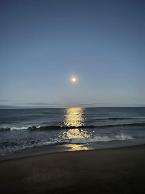 Oceanfront Cottage - Dog Friendly - S Nags