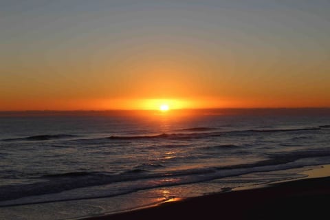 Oceanfront Cottage - Dog Friendly - S Nags