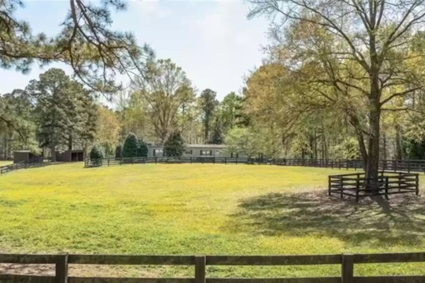 private-cottage-on-horse-farm-in-williamsburg!/