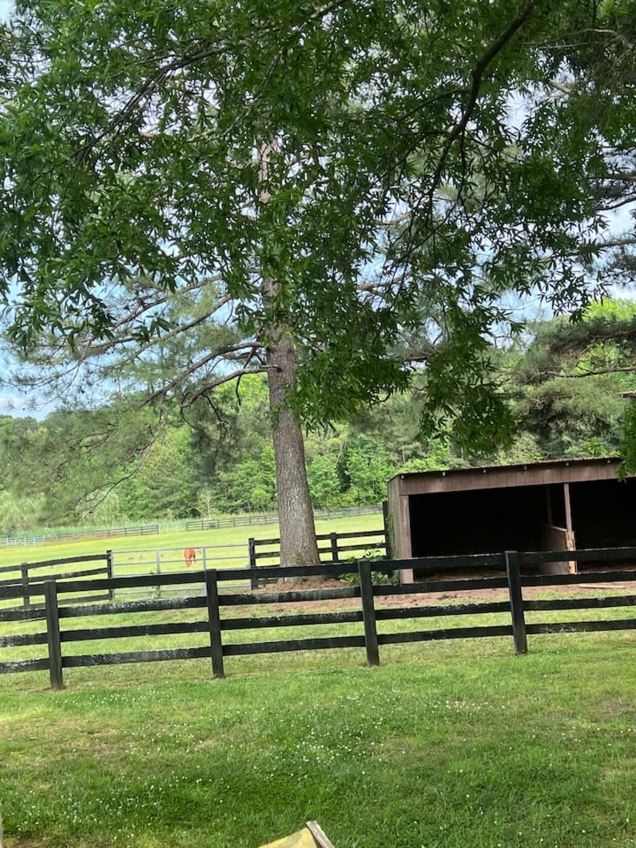 private-cottage-on-horse-farm-in-williamsburg!/