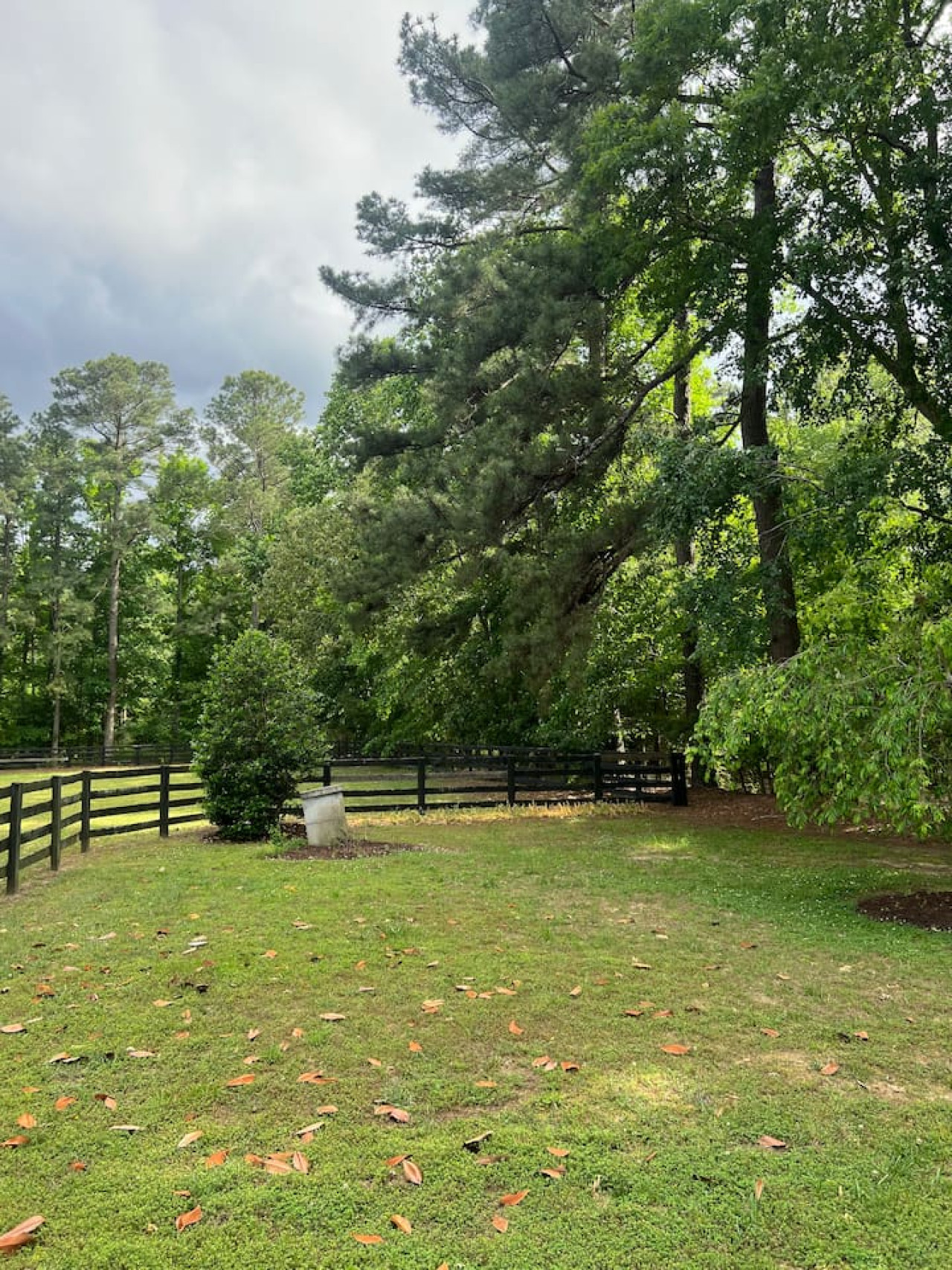 private-cottage-on-horse-farm-in-williamsburg!/