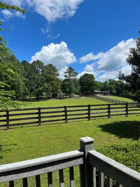 Private Cottage! On Horse Rescue in Williamsburg!