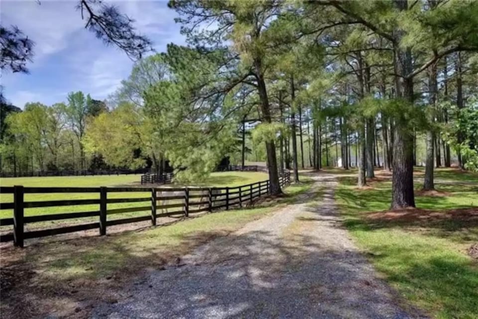 Private Cottage! On Horse Rescue in Williamsburg! - Williamsburg