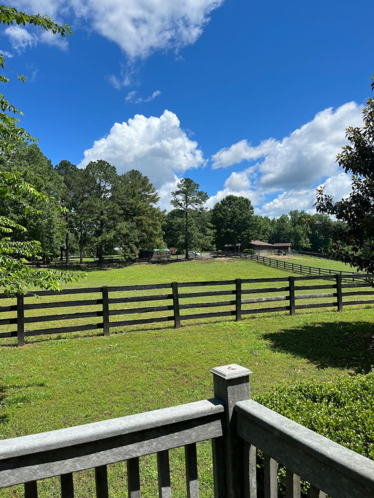 private-cottage-on-horse-farm-in-williamsburg!/