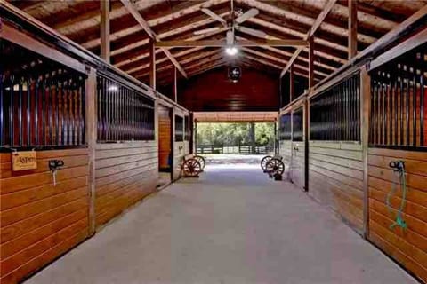 Private Cottage! On Horse Rescue in Williamsburg!