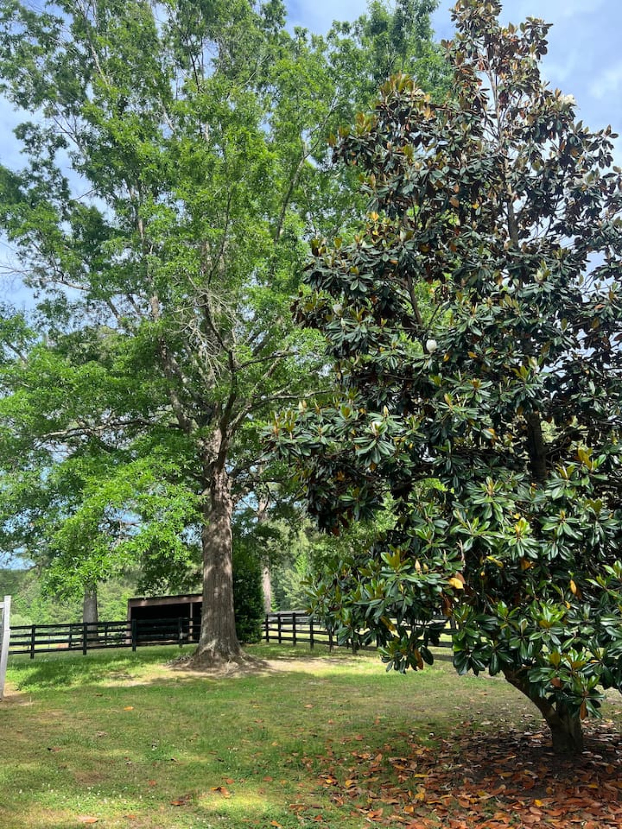 private-cottage-on-horse-farm-in-williamsburg!/