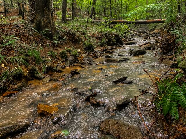 Hummingbird Hideaway river cabin - Ellijay Hummingbird Hideaway river cabin - Ellijay