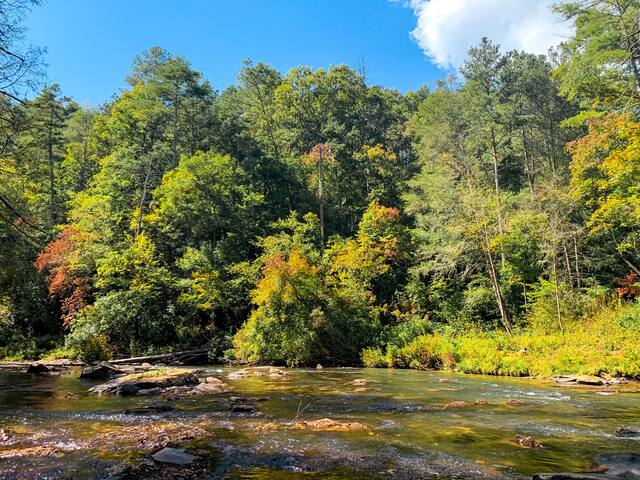 Hummingbird Hideaway river cabin - Ellijay Hummingbird Hideaway river cabin - Ellijay