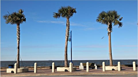 Lakefront