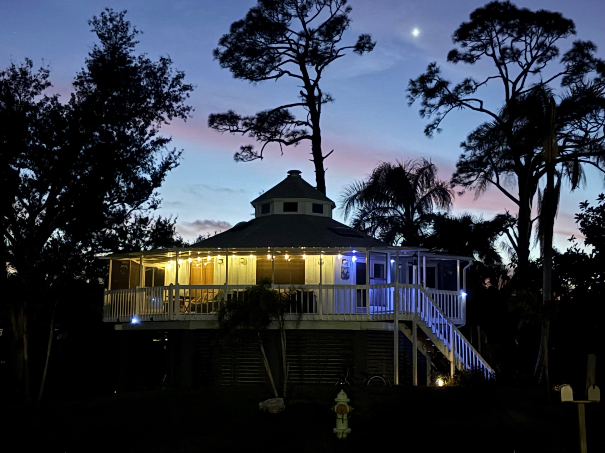 Tree house by the beach - Venice Tree house by the beach - Venice