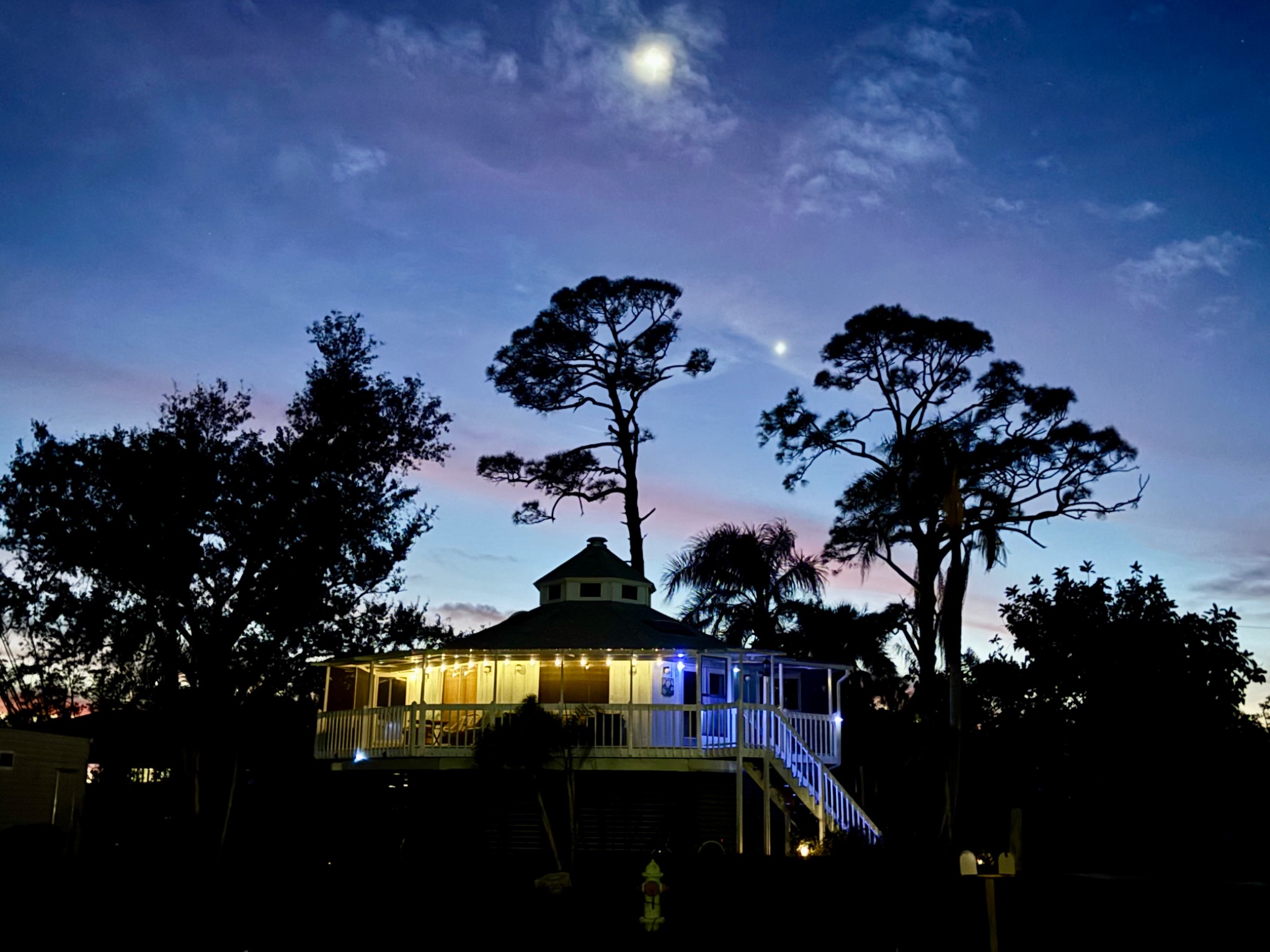 Tree house by the beach - Venice Tree house by the beach - Venice