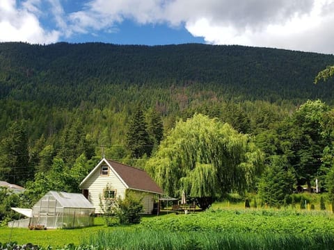 View from the garden