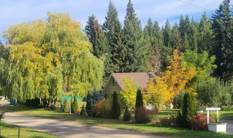 Cozy Cabin, 2 min to the HWY1