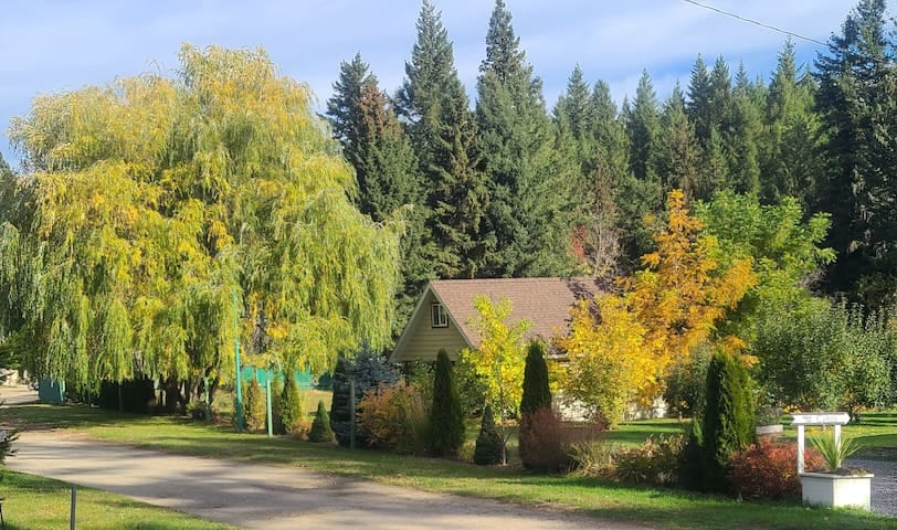 Cozy Cabin, 2 min to the HWY1 - Tappen