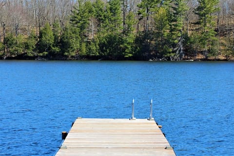 Kingsford Lake House
