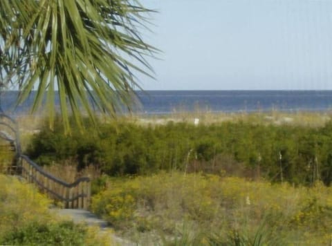 1st Floor"Paradise" Ocean Front