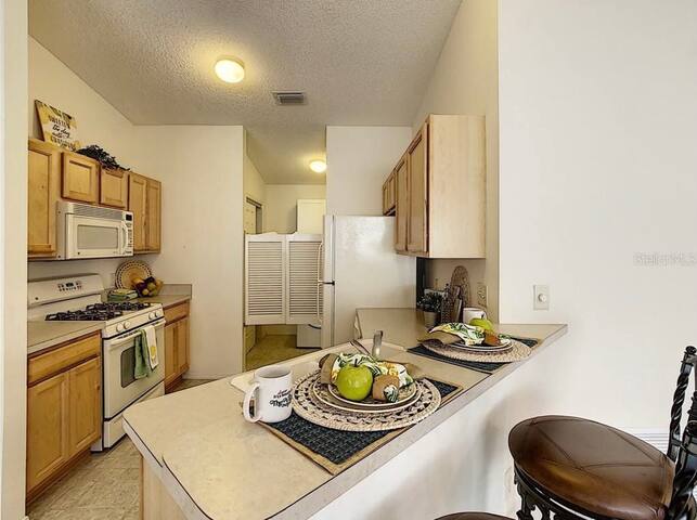 Cozy home, Right Next Door to Lake Sumter Square! - The Villages