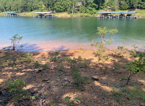 Aunt Pattie's Lake House