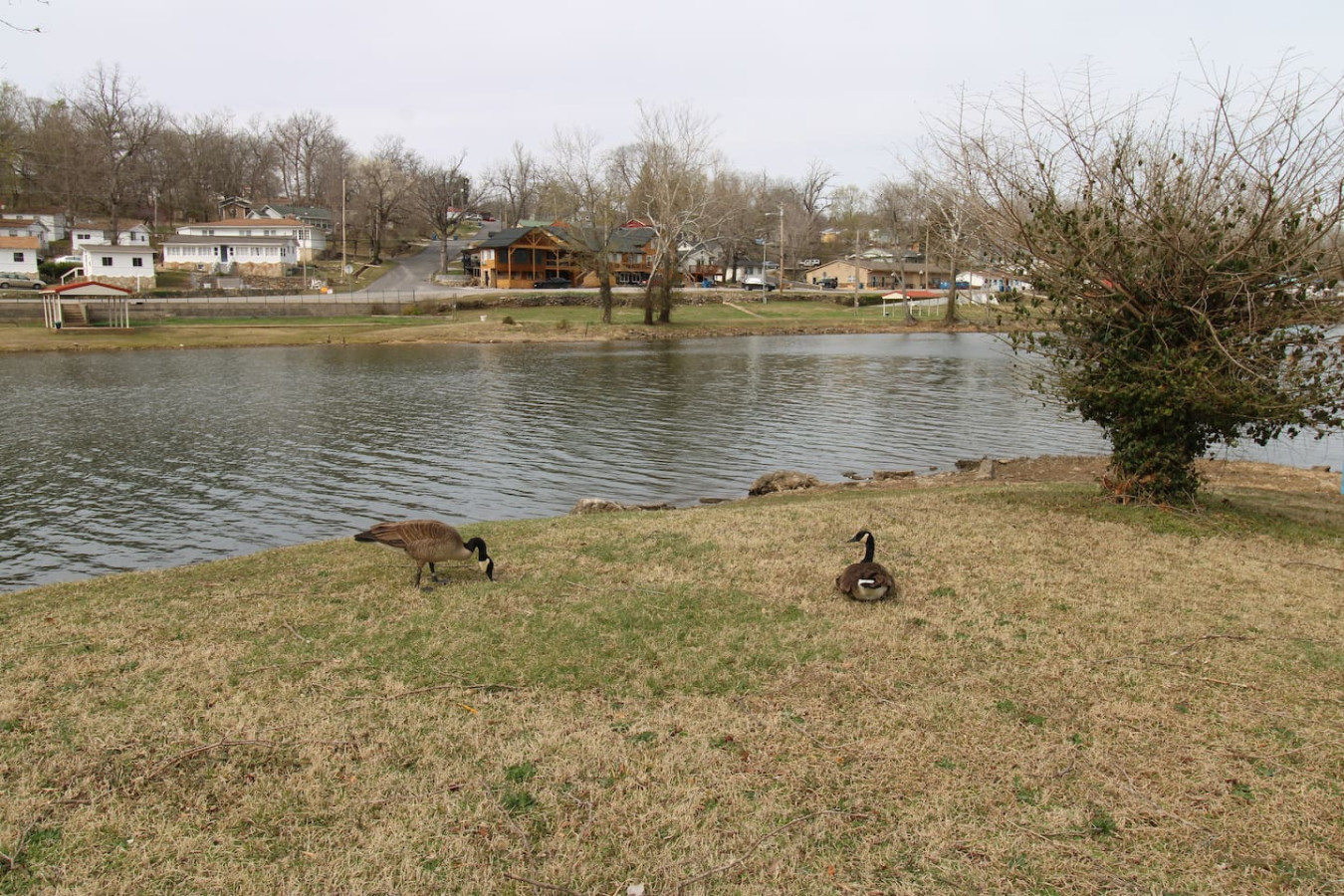 daddyomine-at-duck-harbor-resort/