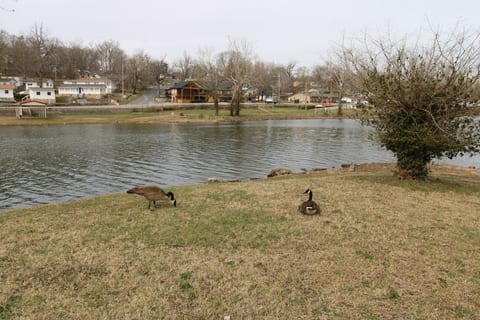 DaddyOMine at Duck Harbor Resort