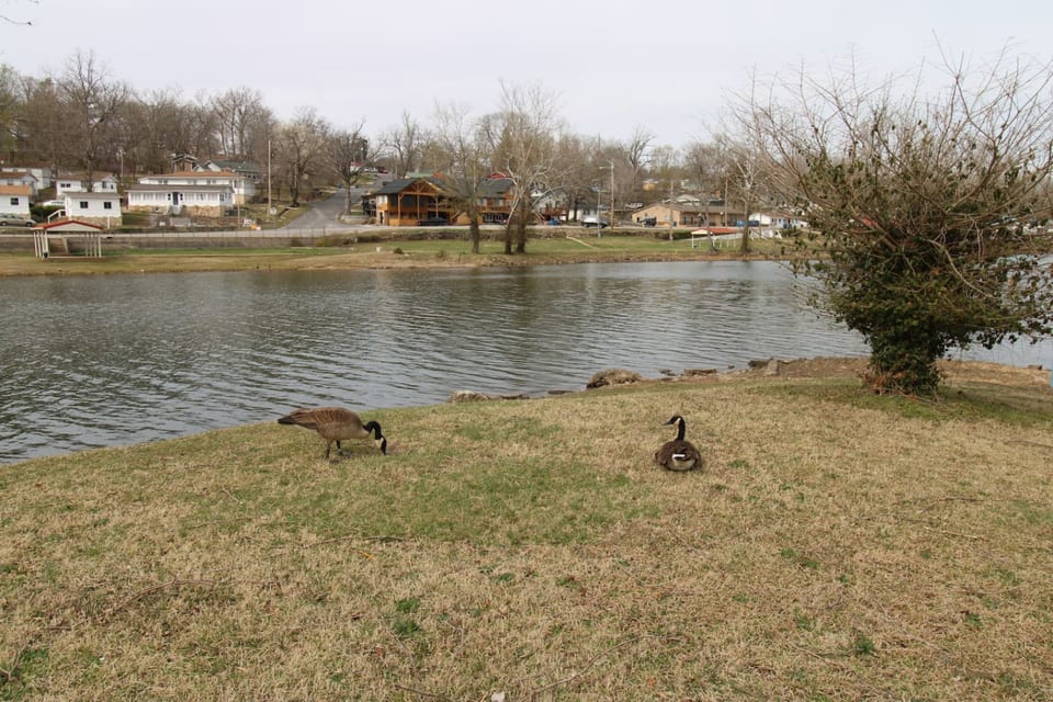 Lake Taneycomo