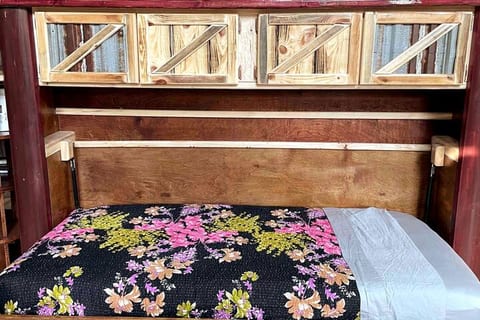 Twin Size Murphy bed