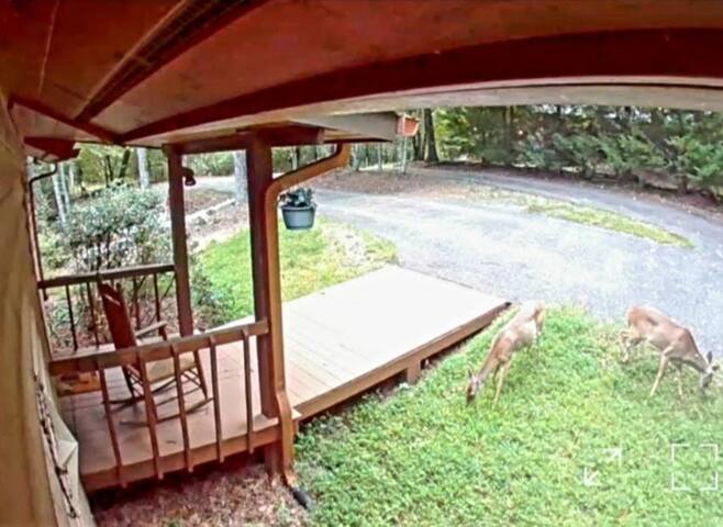 What A View from the Hot Tub! WiFi & Ping-pong! - Blue Ridge