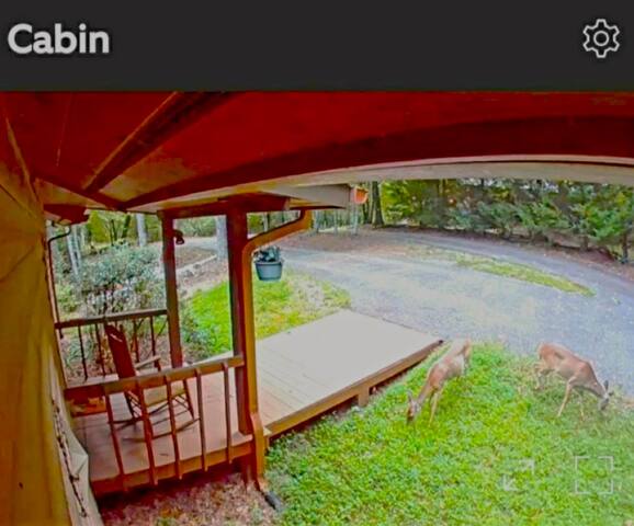 What A View from the Hot Tub! WiFi & Ping-pong! - Blue Ridge