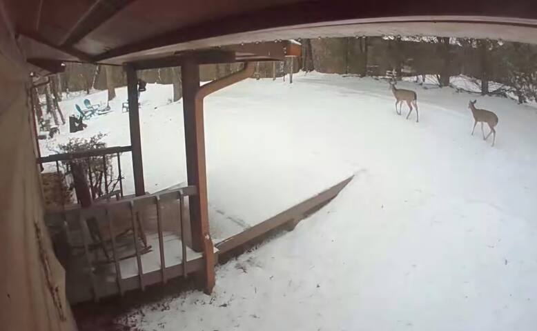 What A View from the Hot Tub! WiFi & Ping-pong! - Blue Ridge
