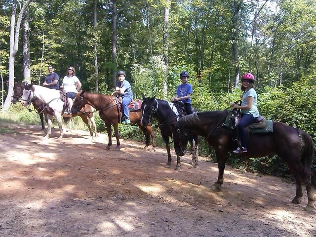 What A View from the Hot Tub! WiFi & Ping-pong! - Blue Ridge