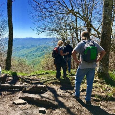 What A View from the Hot Tub! WiFi & Ping-pong! - Blue Ridge