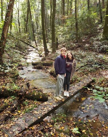 What A View from the Hot Tub! WiFi & Ping-pong! - Blue Ridge