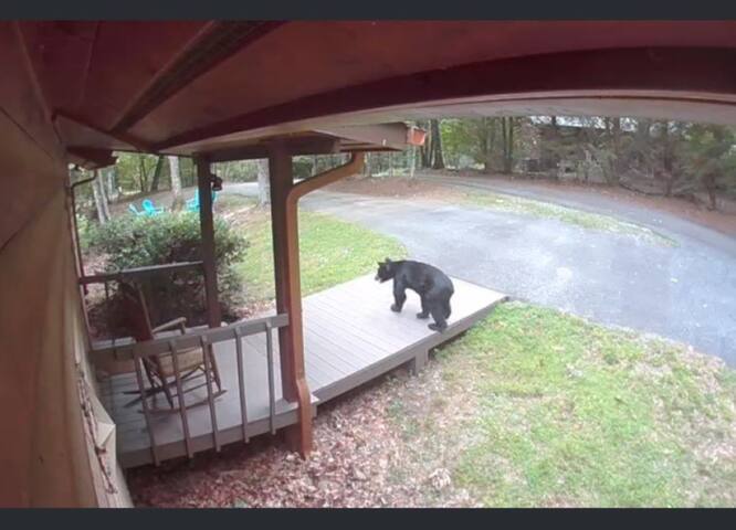 What A View from the Hot Tub! WiFi & Ping-pong! - Blue Ridge