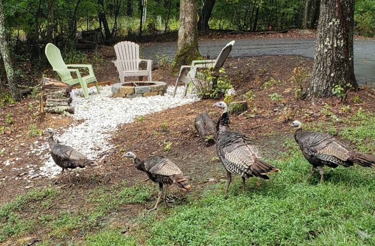 What A View from the Hot Tub! WiFi & Ping-pong! - Blue Ridge