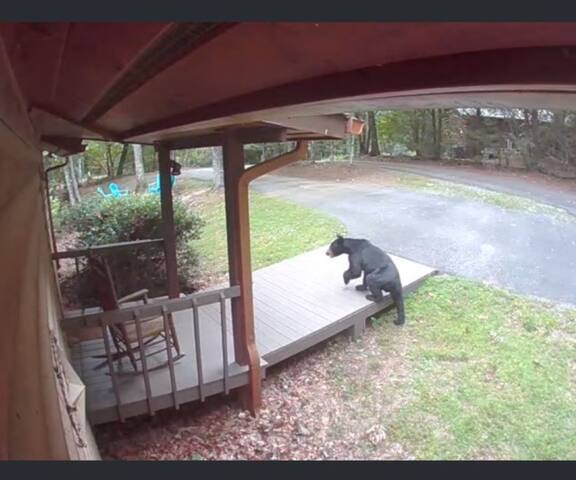 What A View from the Hot Tub! WiFi & Ping-pong! - Blue Ridge