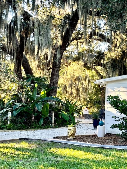 Evergreen Cottage • 5 Min to Beach & Downtown image 1