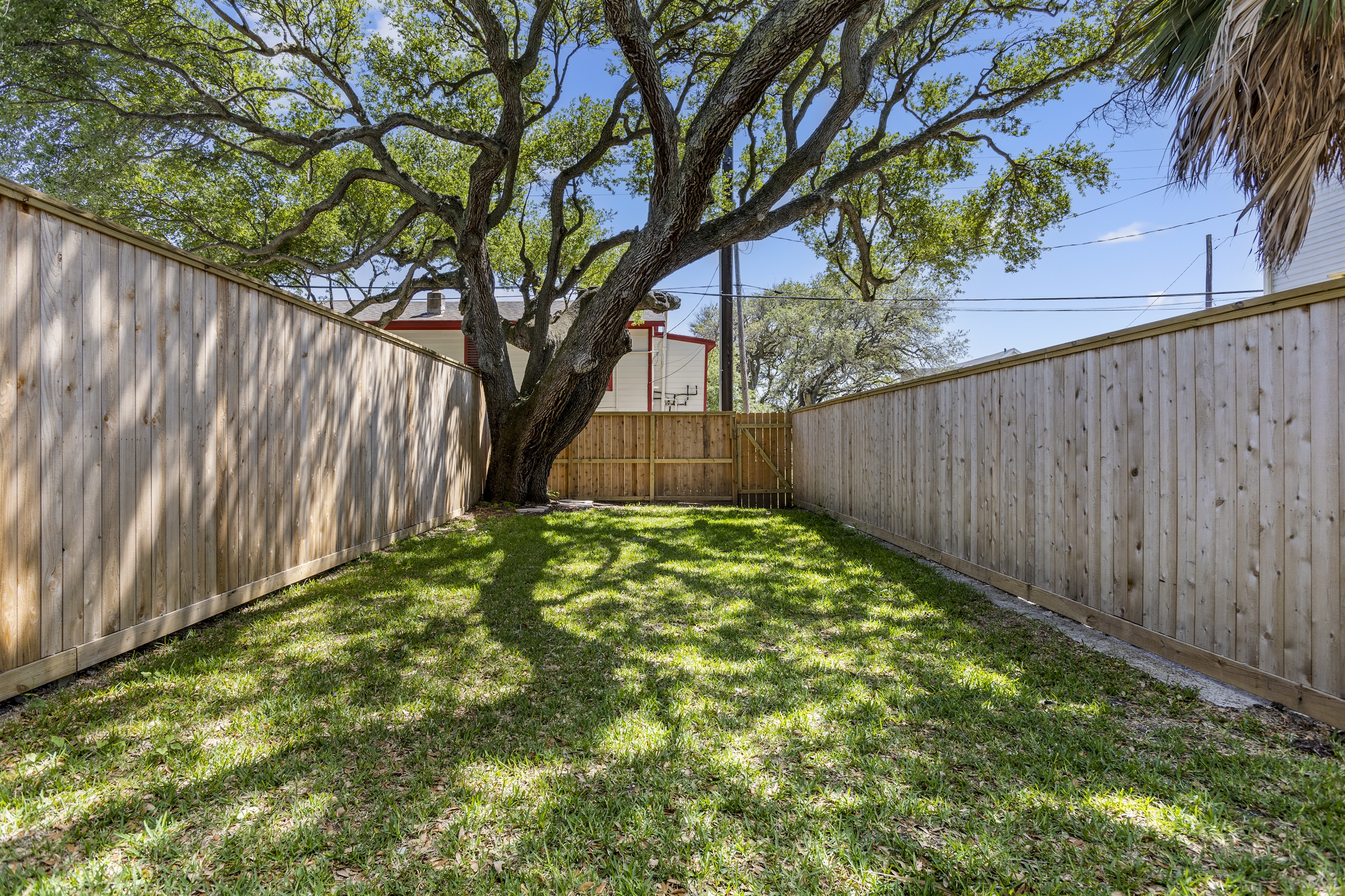 Fully fenced backyard to let the kids and pets run and play safely. And plenty of shade too!