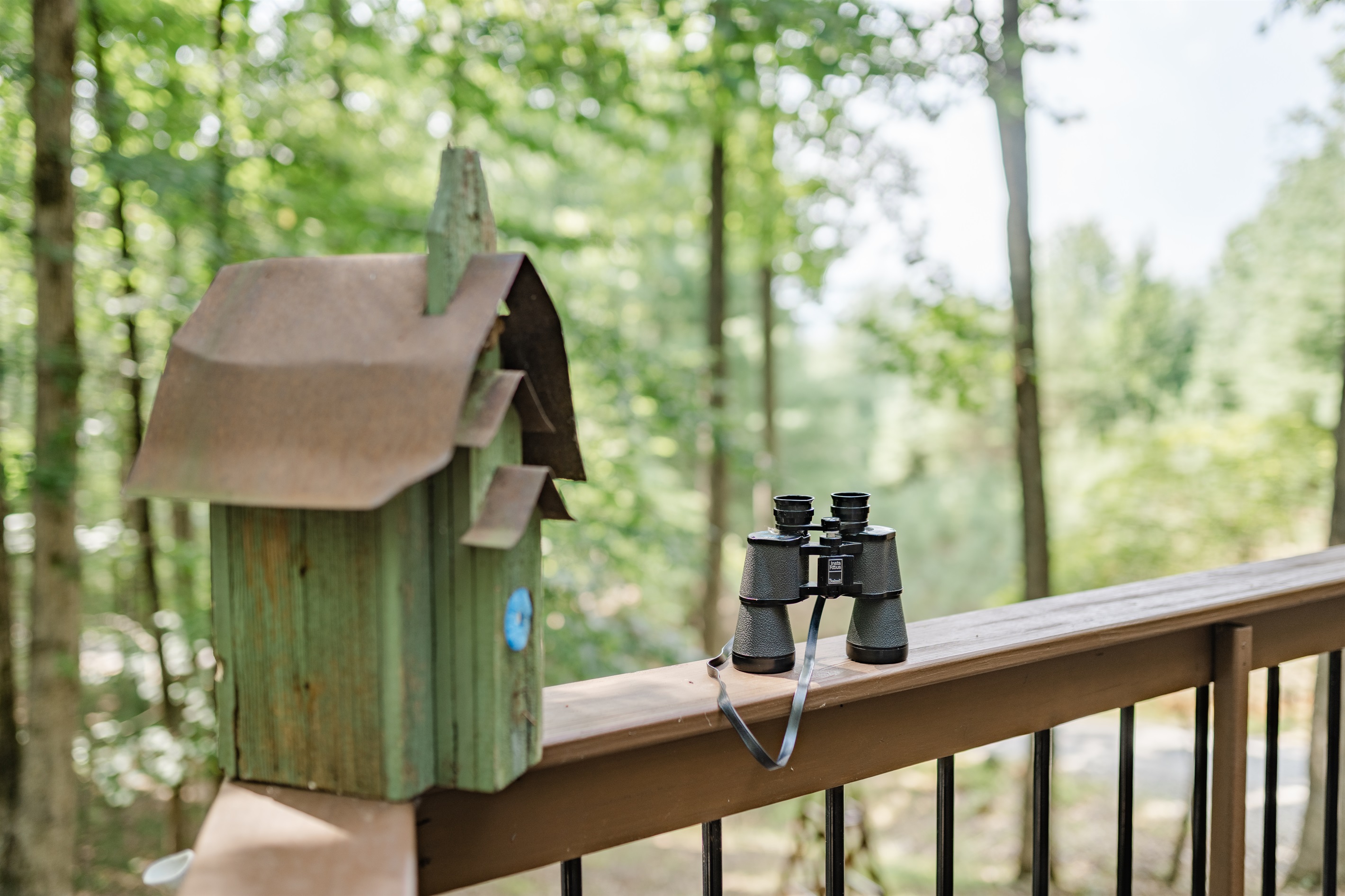 Home Away Chalet - Ellijay