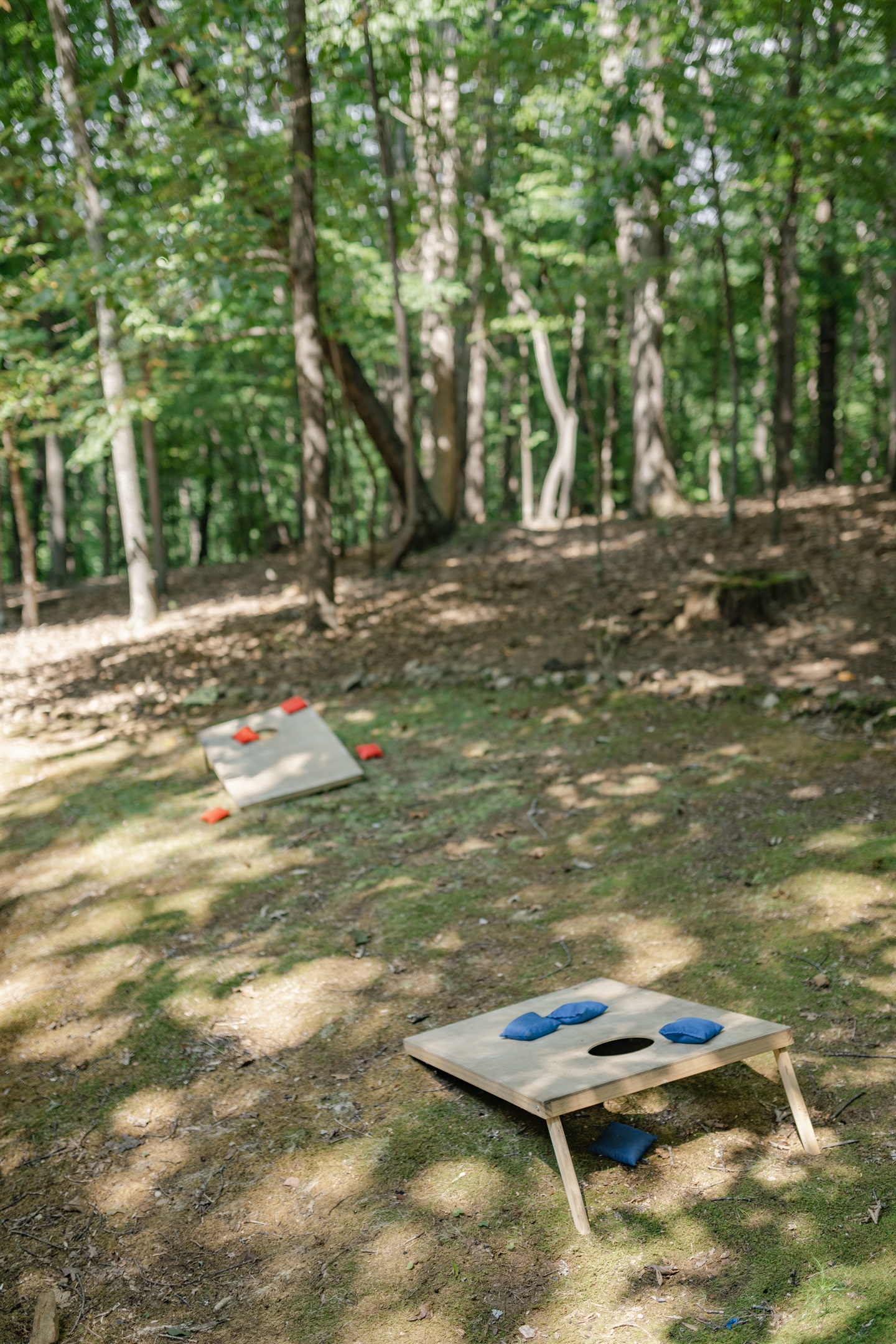 Home Away Chalet - Ellijay