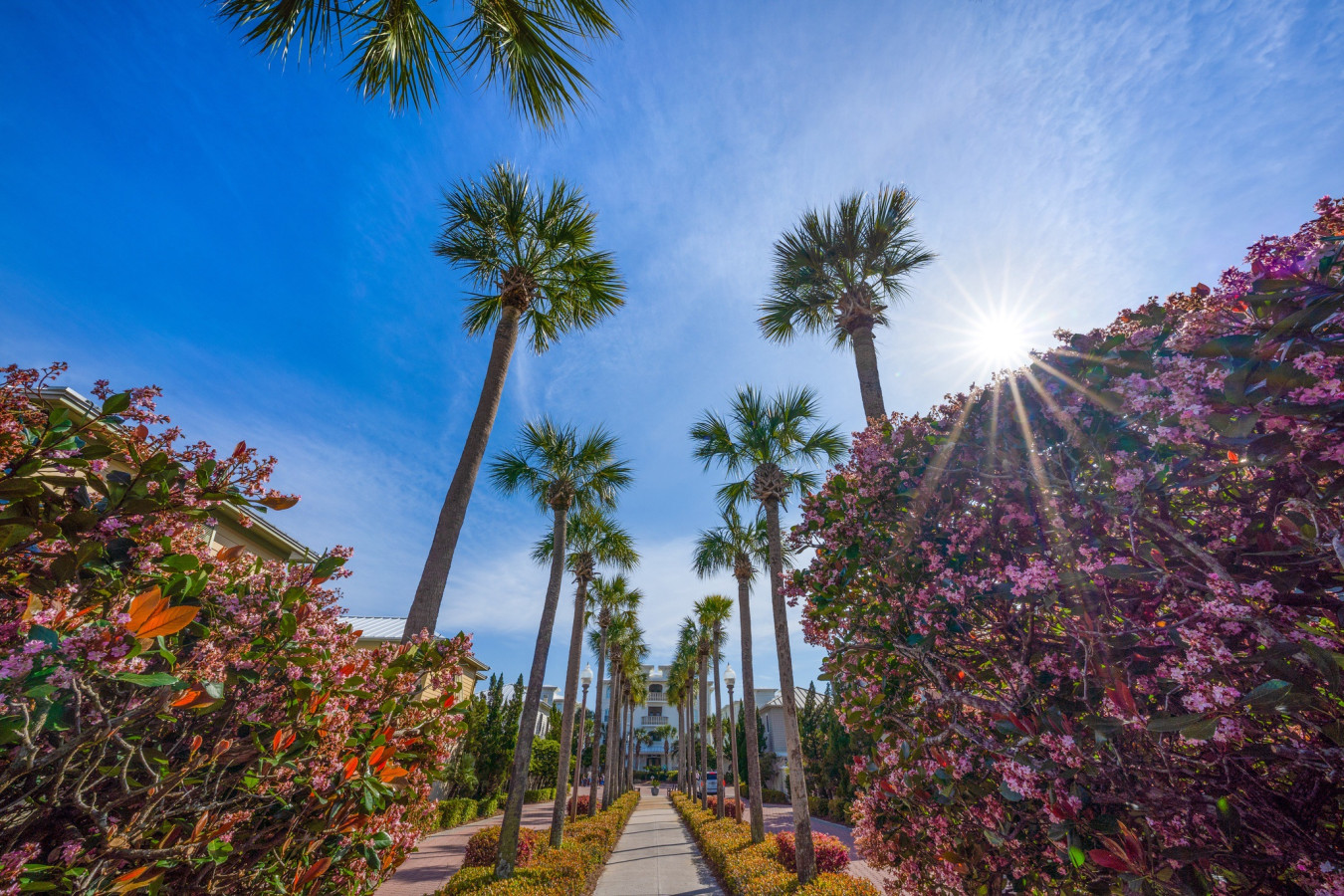 Take a peaceful stroll down this beautifully landscaped palm walkway that runs through the heart of the Seacrest Beach community.