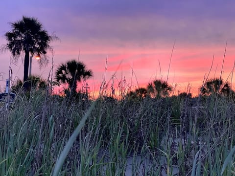 🌴 The Beach House at Ocean Lakes | 1,600 Sq Ft • Sleeps 8–10 • MH125 • Porch • Trailer Parking