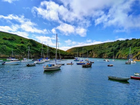 Charming 18th-Century Cottage in Solva's Heart