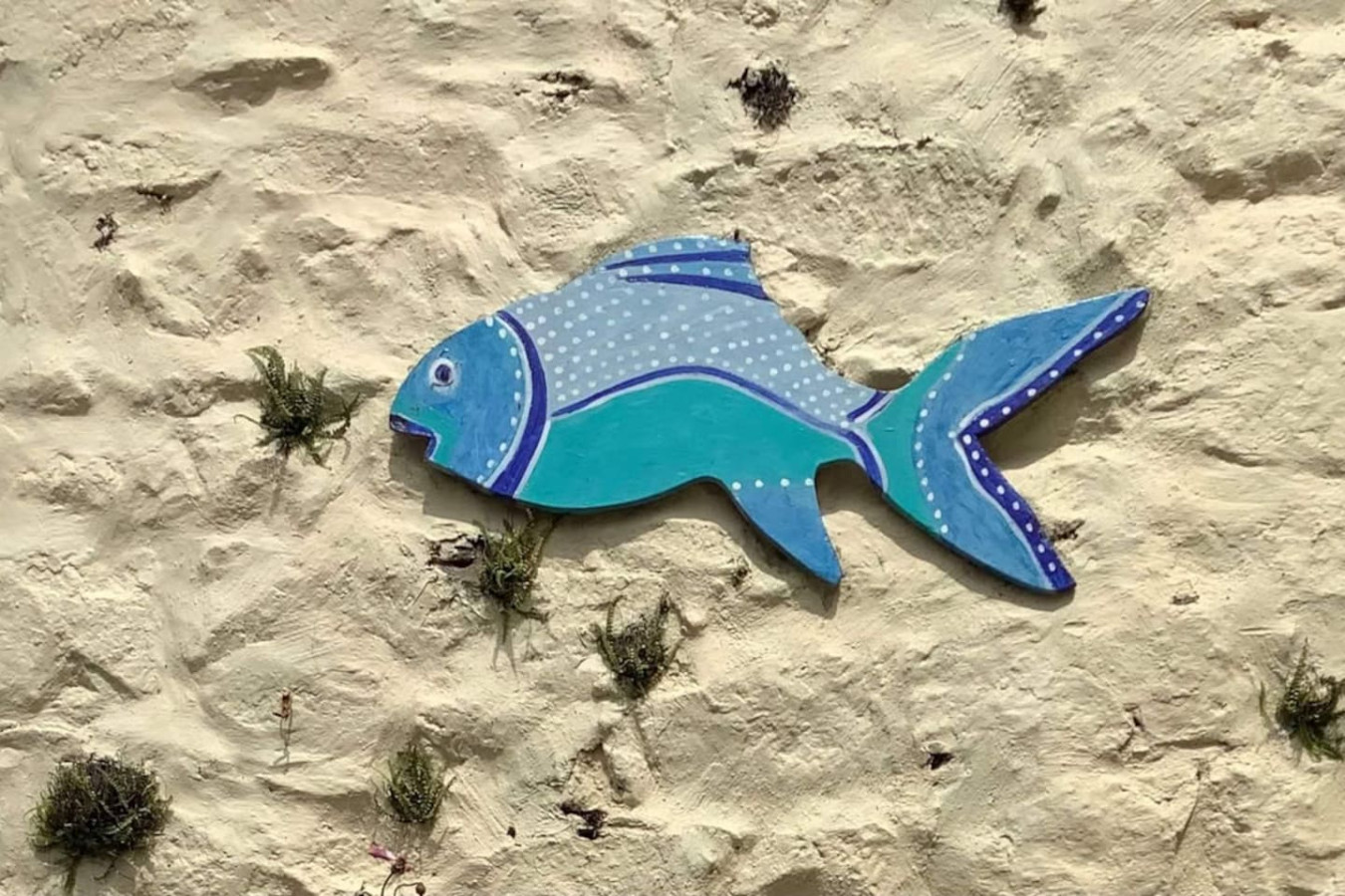 charming-18th-century-cottage-in-solva's-heart/