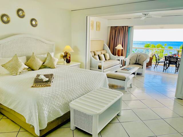 deluxe-beachfront-apt-ocean-view-cupecoy/