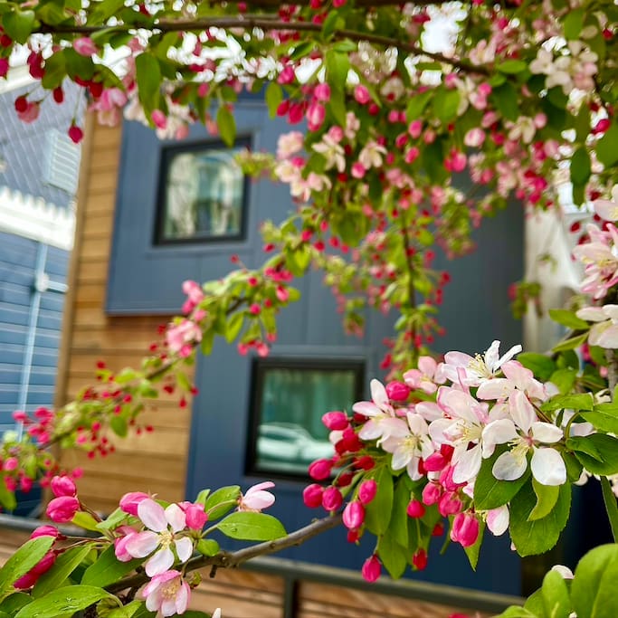 In the heart of the the city, but surrounded by amazing trees.