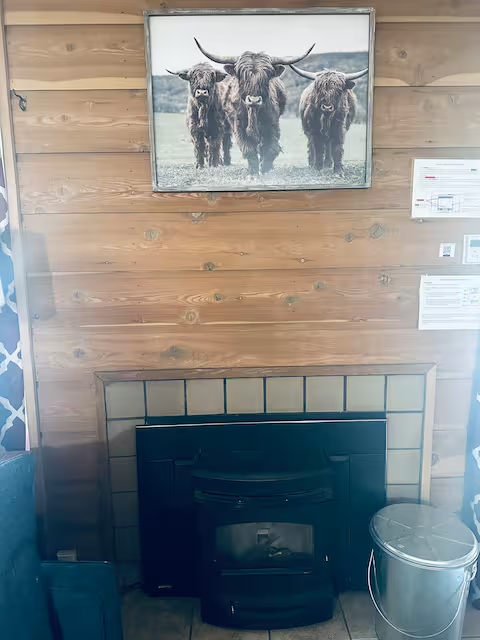 pellet stove in living room